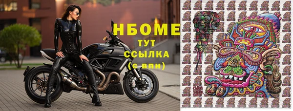 бошки Дмитриев