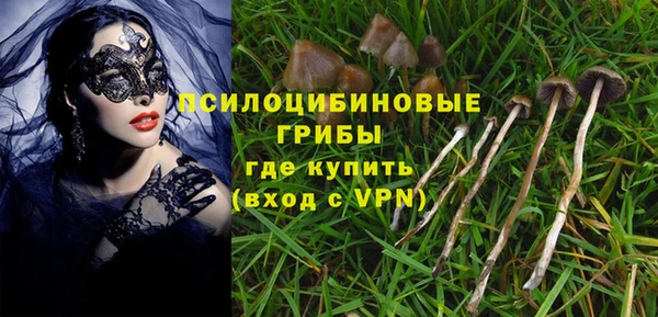 бошки Дмитриев