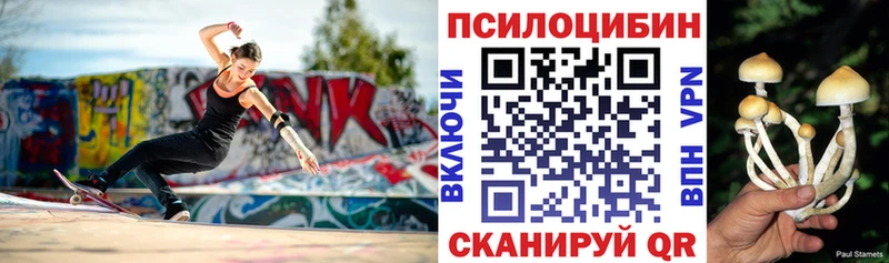 Купить закладки  Новоржев  Псилоцибиновые грибы Psilocybe 